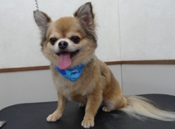 었