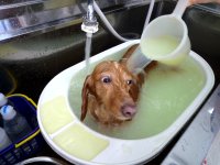 いちごちゃん