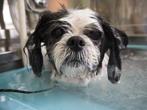 �킳�т����