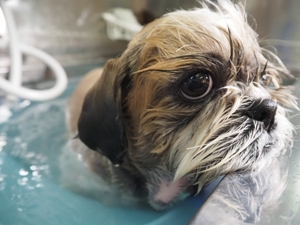 ���q�����