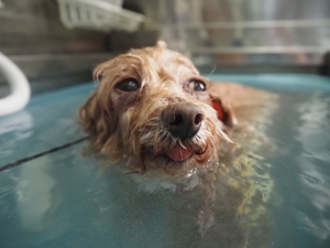 ����؂����