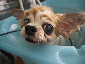 �^�������