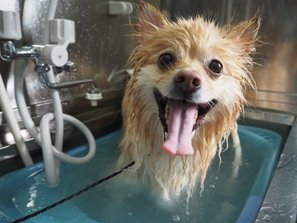 �A���o�����