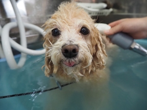 ���A�����