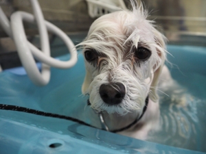 ���I�����