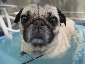 ���Ȃ������