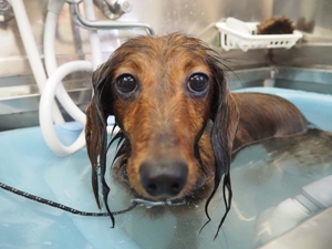 �\�������