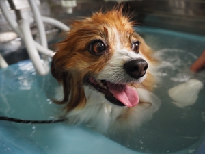 �i�i�����