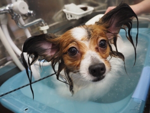 �}���������