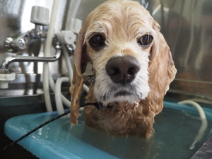 ���[�N�����