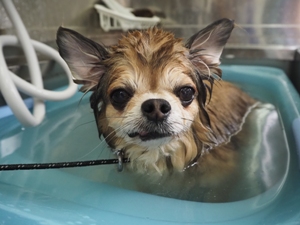 �었�����