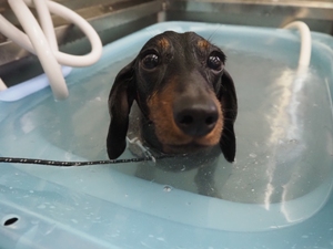 ���i�����