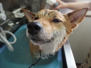 ���~�����