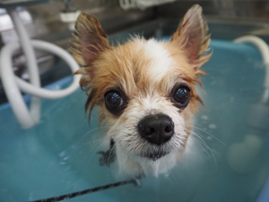 ���I�������