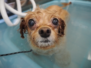 �l�l�����