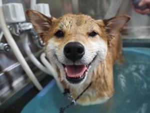 �_�C�������