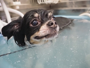 �`���R�����