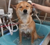 ふうたちゃん